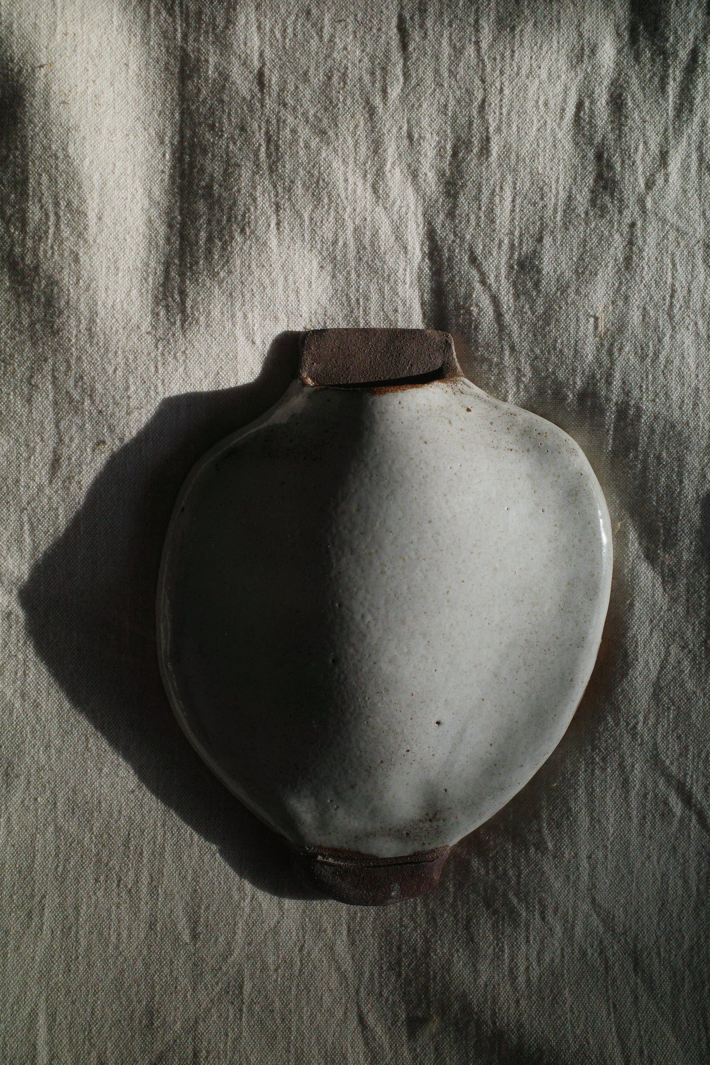 Wall Vases